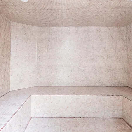 Prestige Hammam & Piscine * Cannes